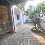 Gelsomino * Posada (Sardinia)